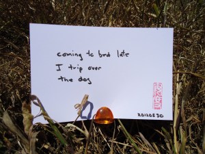 Haiku 20120530
